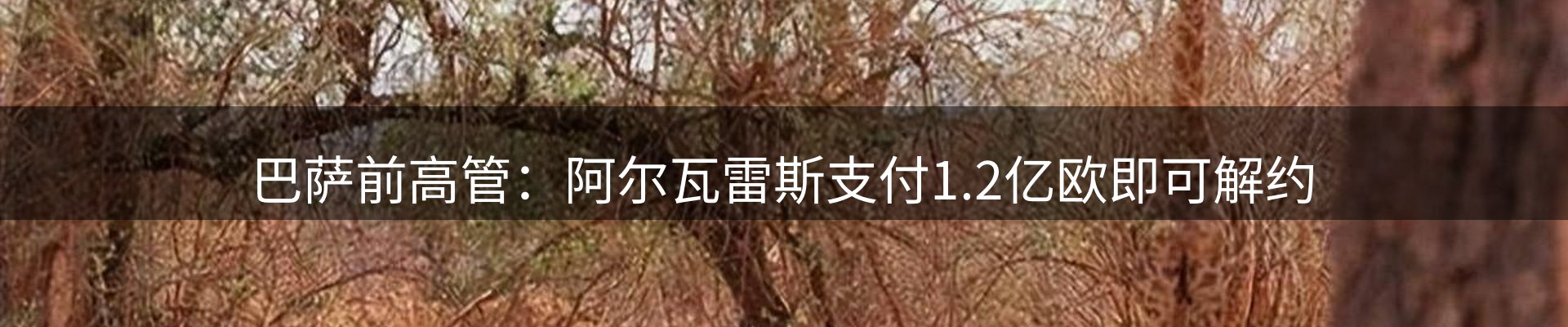平台精选