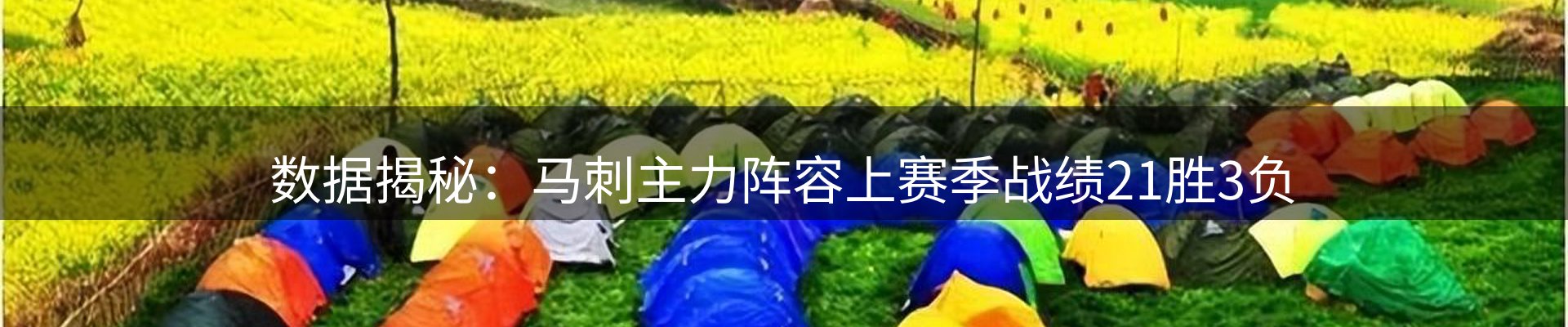 平台精选